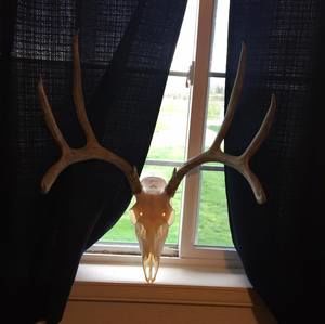 Meet your Posher, Ethan